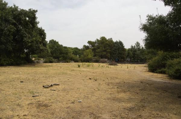 Terreno en calle la Chozuela s/n