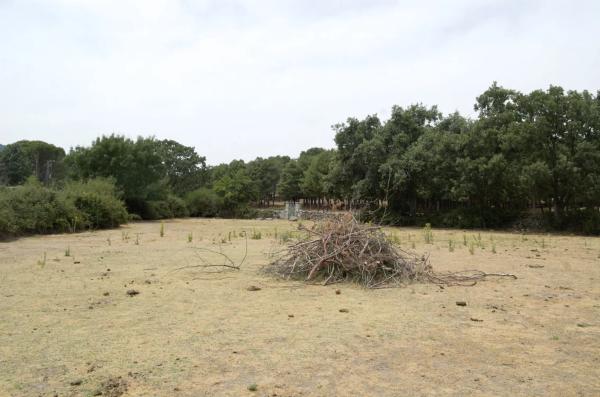Terreno en calle la Chozuela s/n