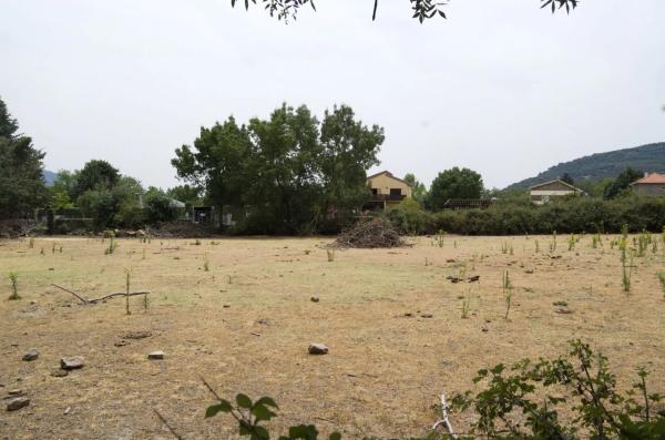 Terreno en calle la Chozuela s/n