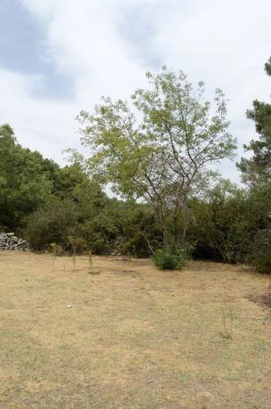 Terreno en calle la Chozuela s/n
