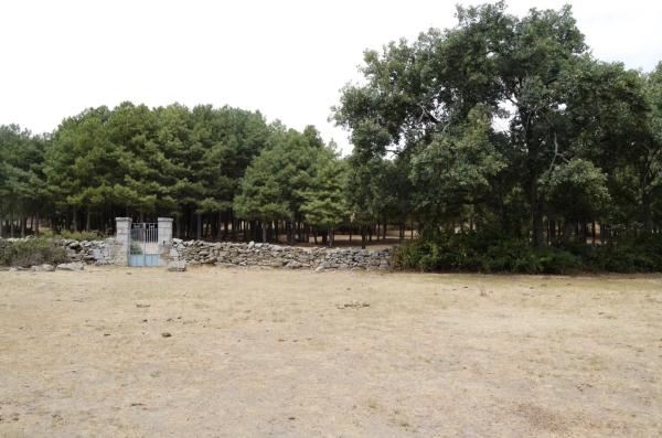 Terreno en calle la Chozuela s/n