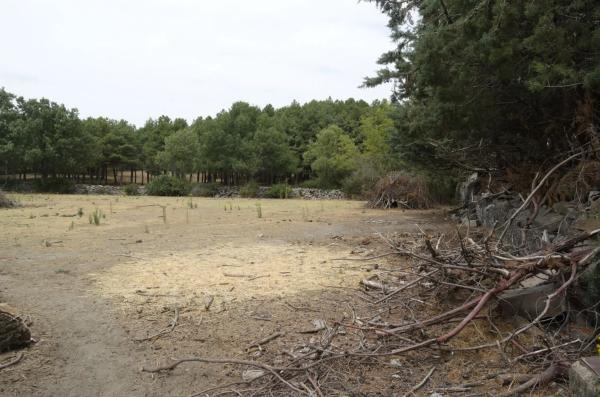 Terreno en calle la Chozuela s/n