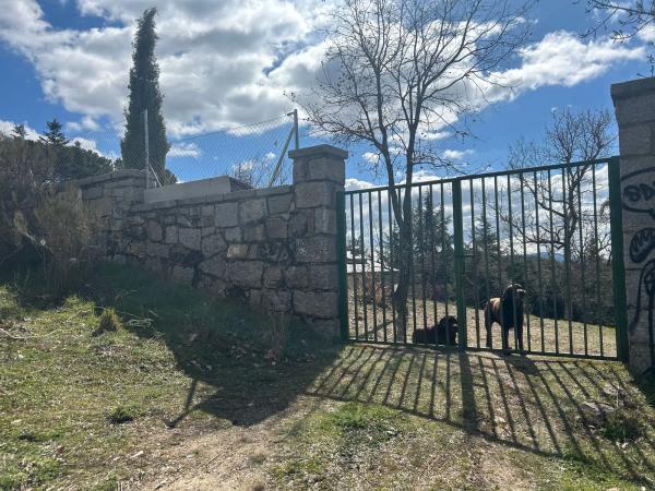 Terreno en camino del Río, 6