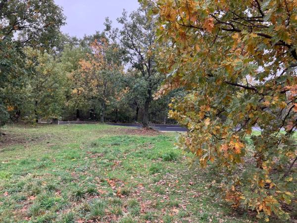 Terreno en calle Manzanares, 47
