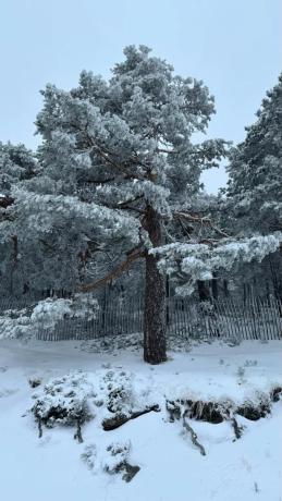 Terreno en calle Manzanares, 47