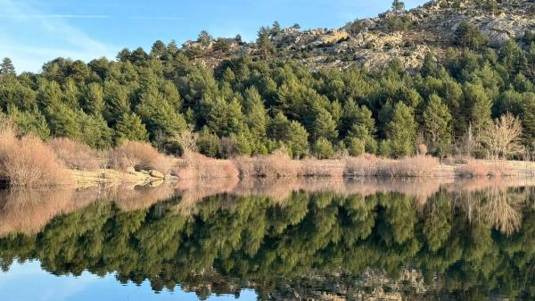 Terreno en calle Manzanares, 47