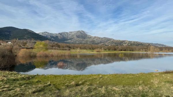 Terreno en calle Manzanares, 47
