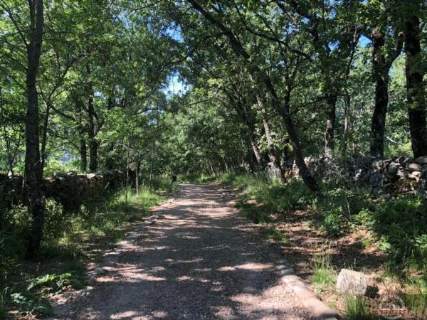 Terreno en calle Manzanares