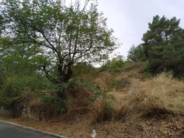 Terreno en calle del Párroco Desiderio García, 3