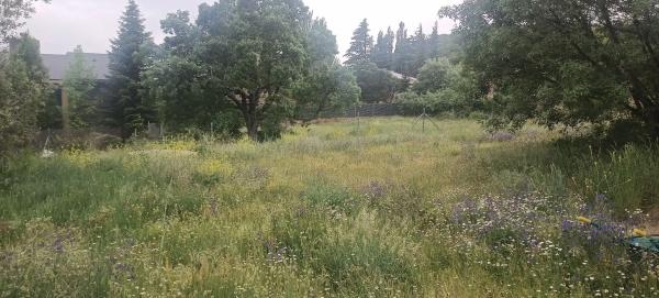 Terreno en calle la Huertona, 6