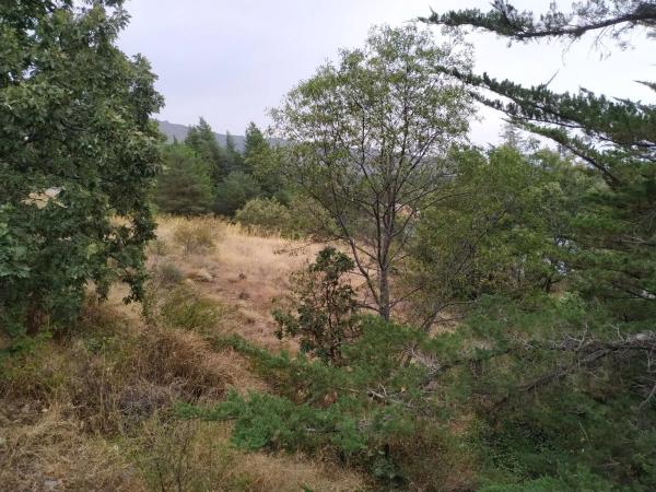 Terreno en calle del Párroco Desiderio García, 3