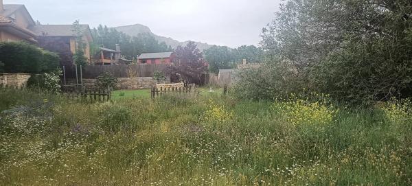 Terreno en calle la Huertona, 6