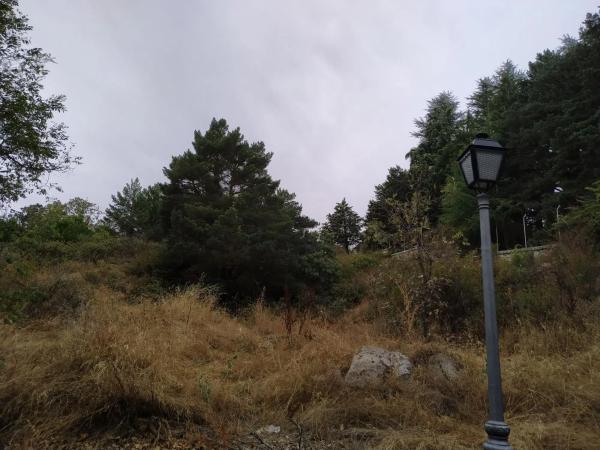 Terreno en calle del Párroco Desiderio García, 3