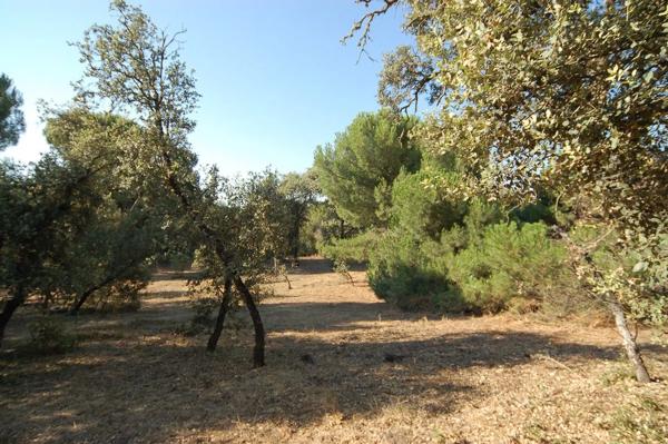 Terreno en Urbanización las Encinas, 12