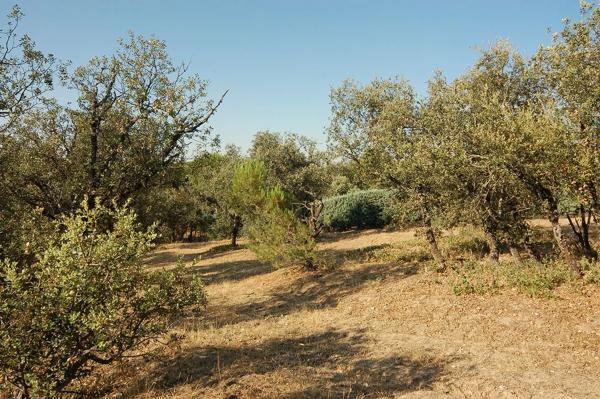 Terreno en Urbanización las Encinas, 12