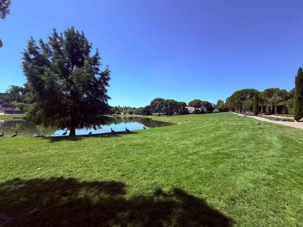 Terreno en paseo de los Lagos