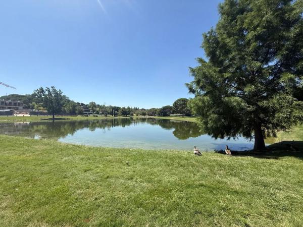 Terreno en paseo de los Lagos