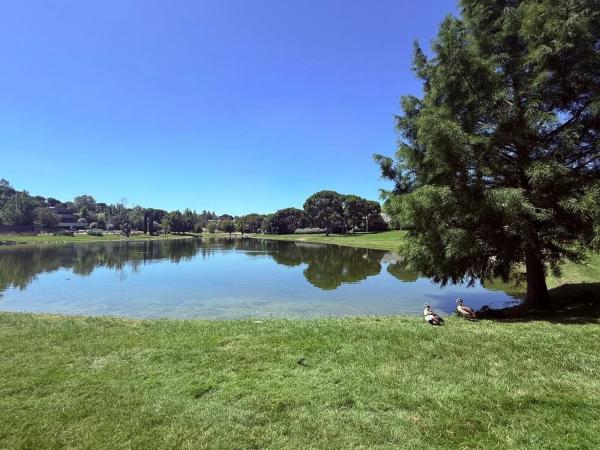 Terreno en paseo de los Lagos
