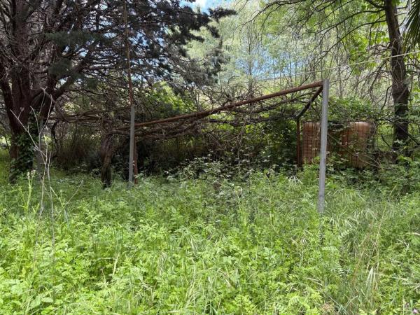 Terreno en calle Doctor Velázquez