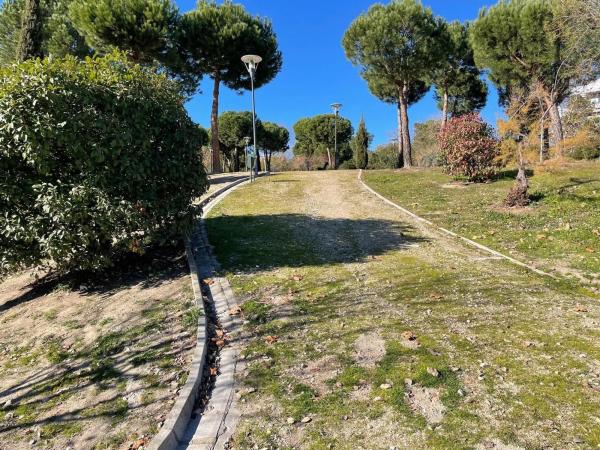 Terreno en calle Doctor Velázquez