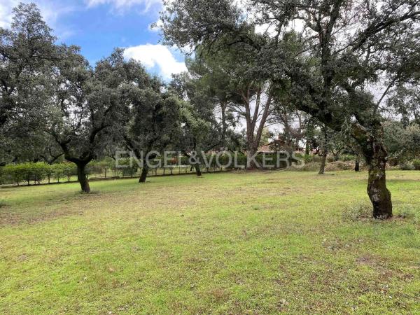 Terreno en Barrio Zona Estación