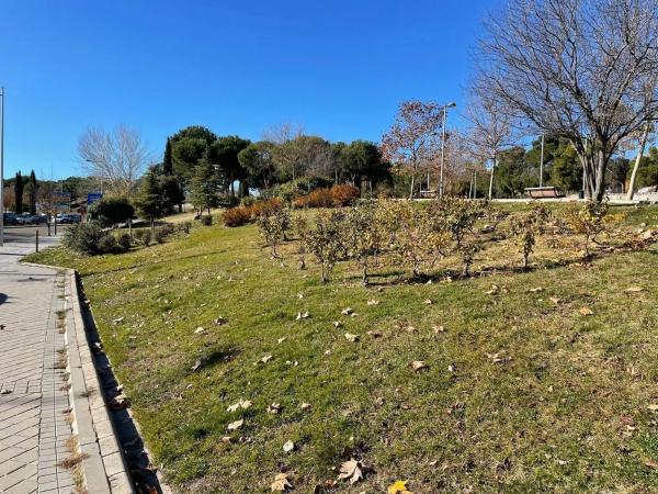 Terreno en calle Doctor Velázquez