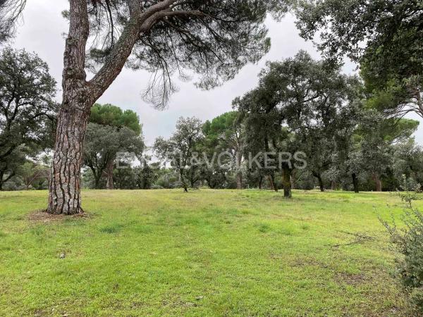 Terreno en Barrio Zona Estación