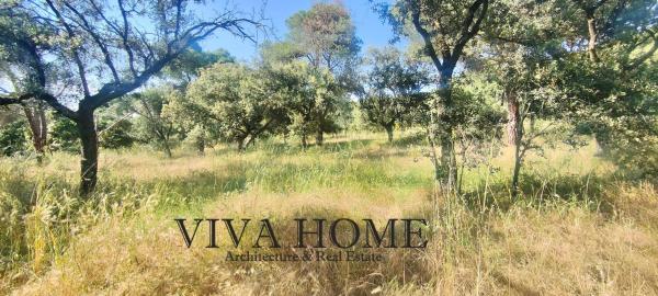 Terreno en avenida Prado Largo