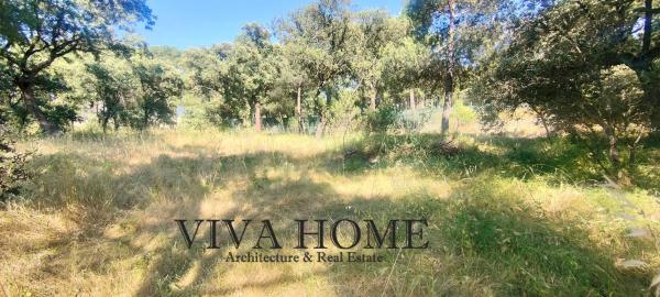 Terreno en avenida Prado Largo