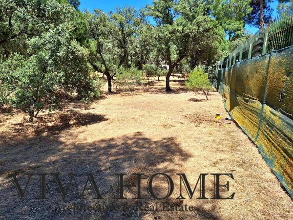 Terreno en avenida Prado Largo