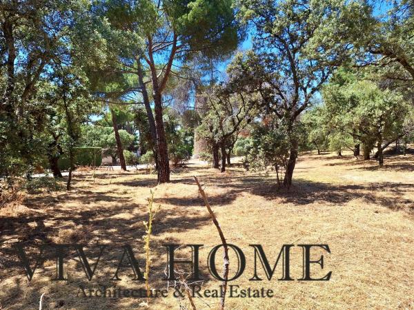 Terreno en avenida Prado Largo