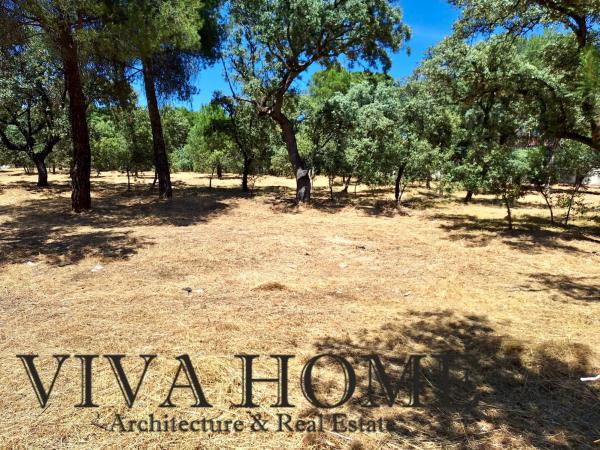 Terreno en avenida Prado Largo