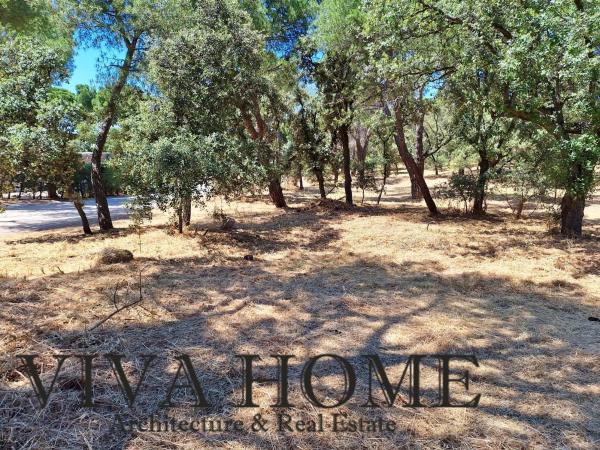 Terreno en avenida Prado Largo