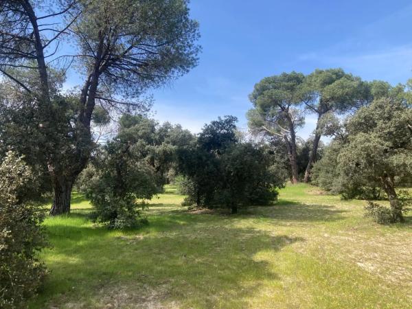 Terreno en calle Urb Las Encinas