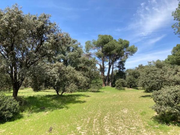 Terreno en calle Urb Las Encinas