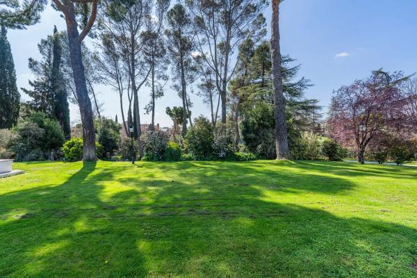 Terreno en calle Galgo