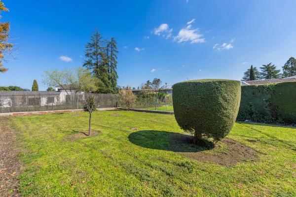 Terreno en calle Galgo