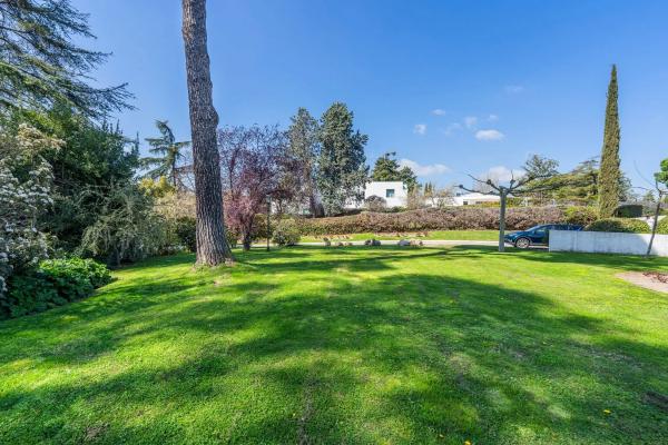 Terreno en calle Galgo