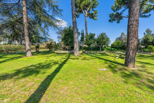 Terreno en calle Galgo