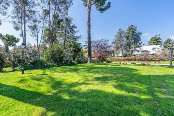 Terreno en calle Galgo