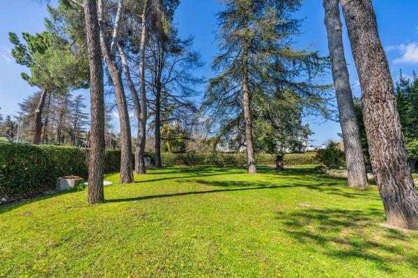 Terreno en calle Galgo