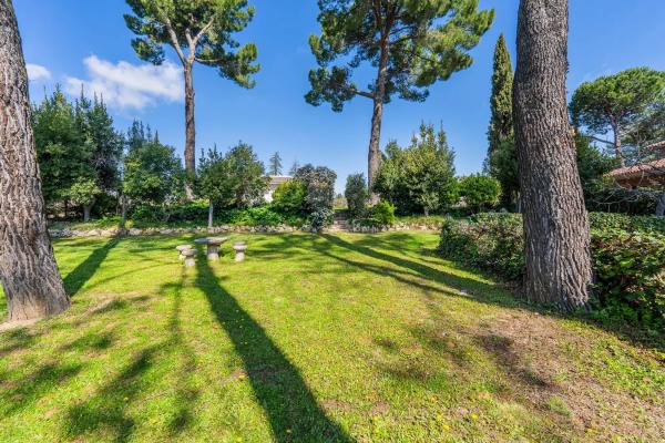 Terreno en calle Galgo