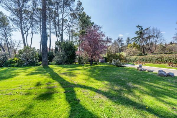 Terreno en calle Galgo