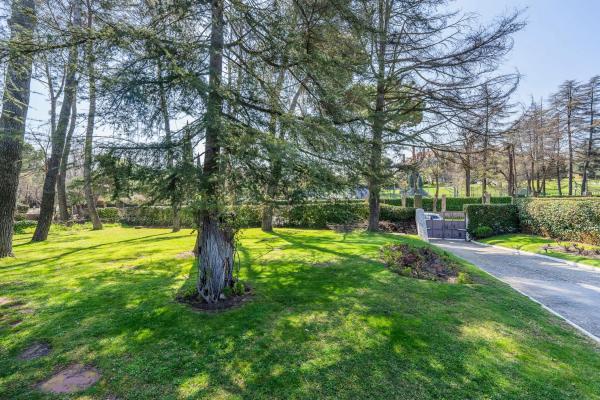 Terreno en calle Galgo