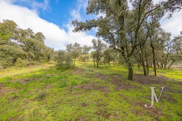 Terreno en Lugar Urbanizacion las Encinas