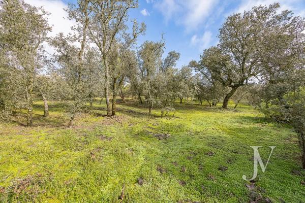 Terreno en Lugar Urbanizacion las Encinas