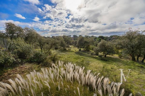 Terreno en Lugar Urbanizacion las Encinas