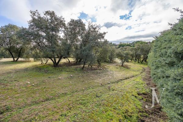 Terreno en Lugar Urbanizacion las Encinas