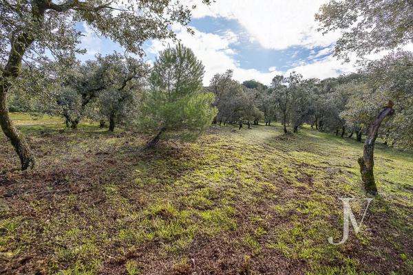 Terreno en Lugar Urbanizacion las Encinas