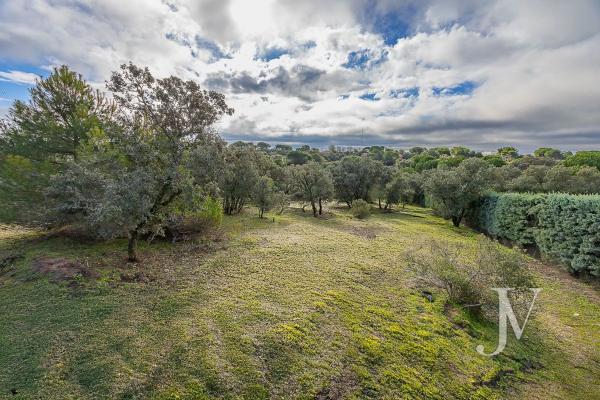 Terreno en Lugar Urbanizacion las Encinas